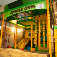 Earls Gymnastics jungle gym