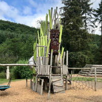 Cycling and mountain biking trails at Dalby Forest