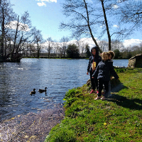 Painshill Park