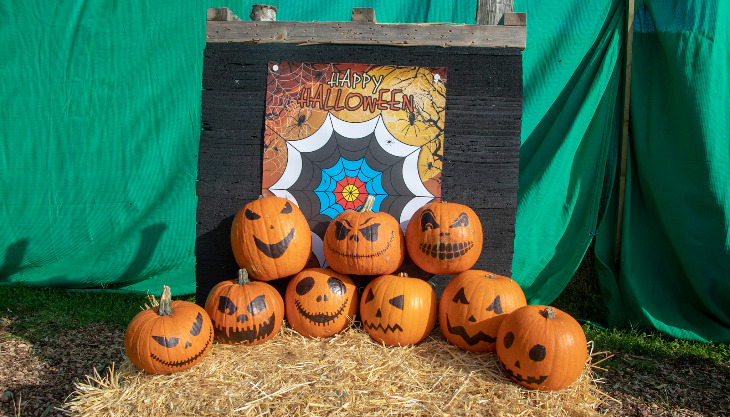 Halloween Pumpkin Shooting with New Forest Activities