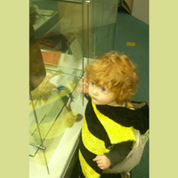 small child in bee costume in museum