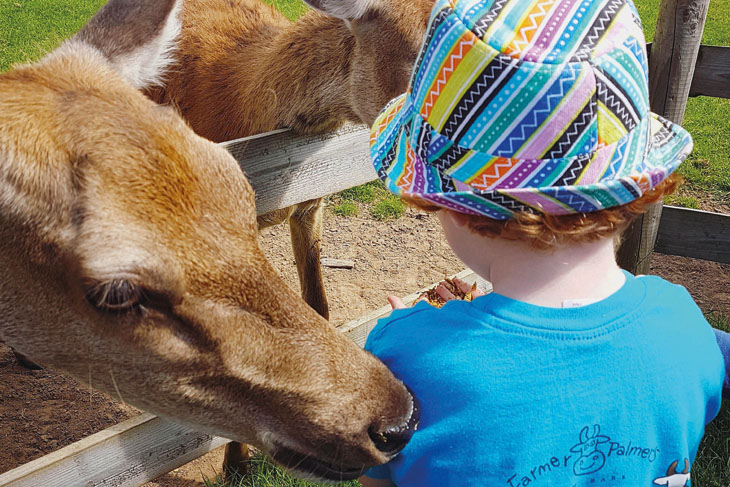 Summer Holiday Fun at Farmer Palmer’s Farm Park