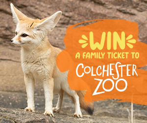Colchester Zoo