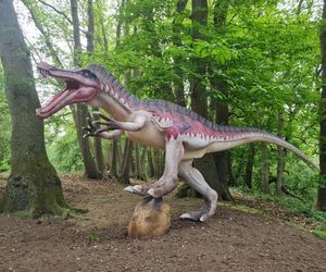 Roarr Dinosaur Adventure