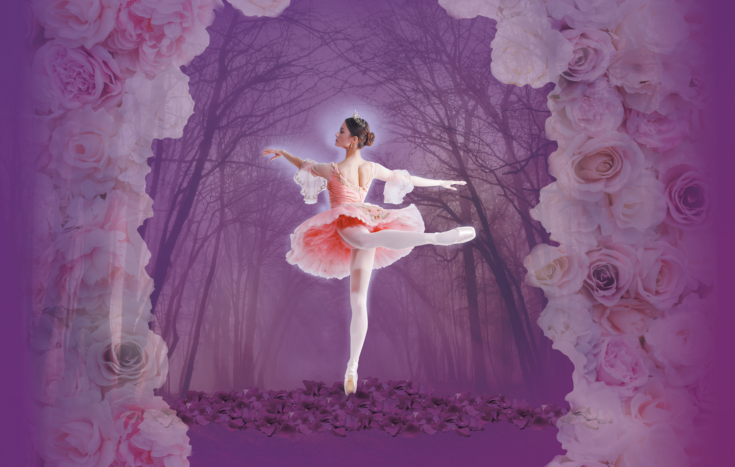 Sleeping Beauty Ballet