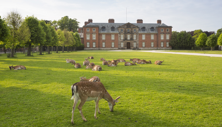 The Squirrel’s Tale: an outdoor family trail at Dunham Massey