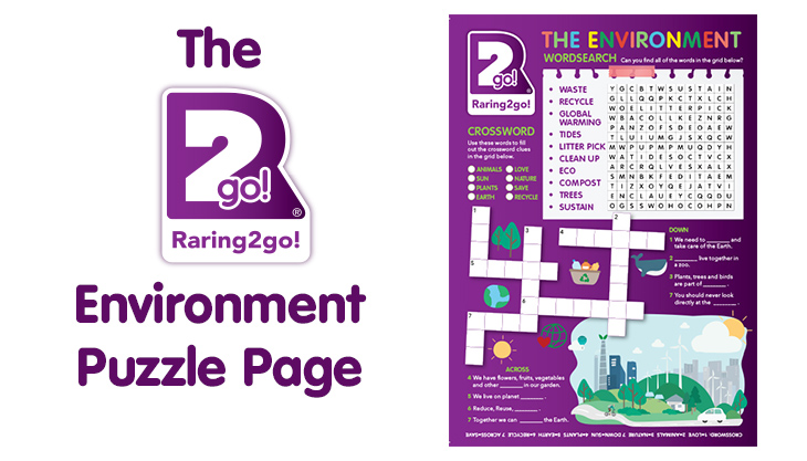 R2G-PUZZLEPAGE-ENVIRONMENT
