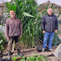 newcastle allotment and garden show