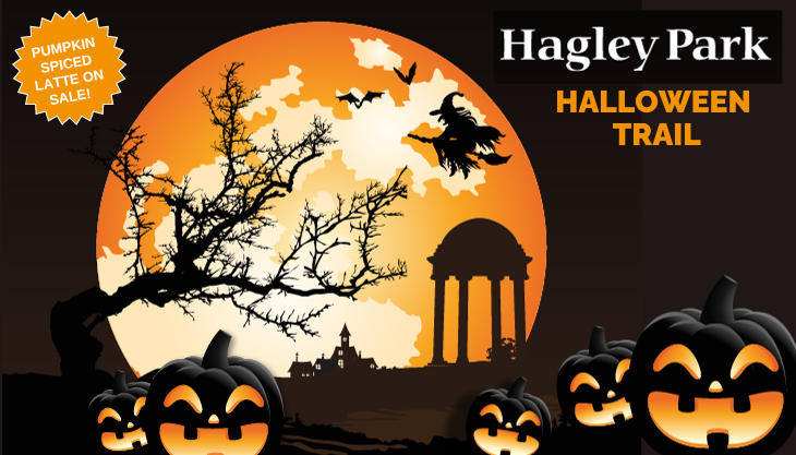 Halloween Trail at Hagley Park