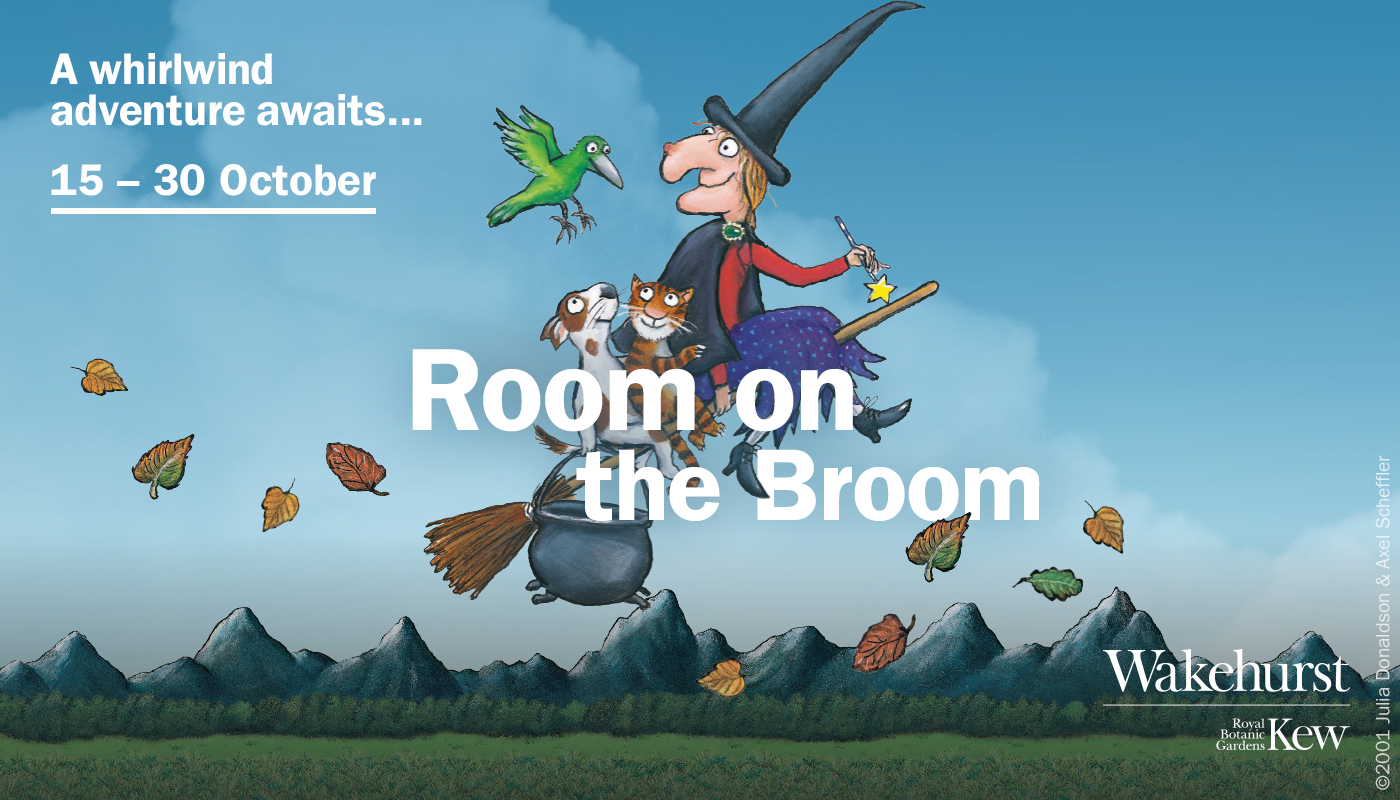 Room on the Broom: A whirlwind adventure awaits…