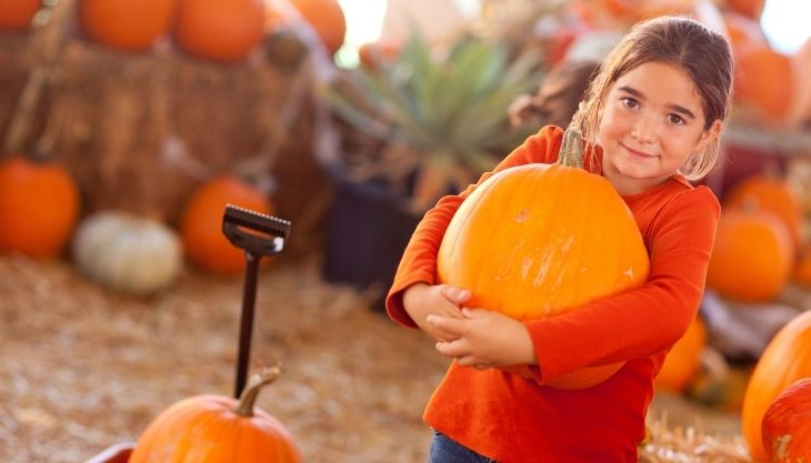 Adventure Valley’s Pumpkin Festival