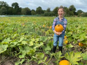 pumpkin 