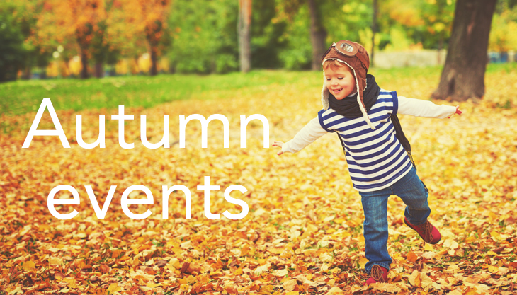 Pumpkin Patch at the Farm, Tatton Park