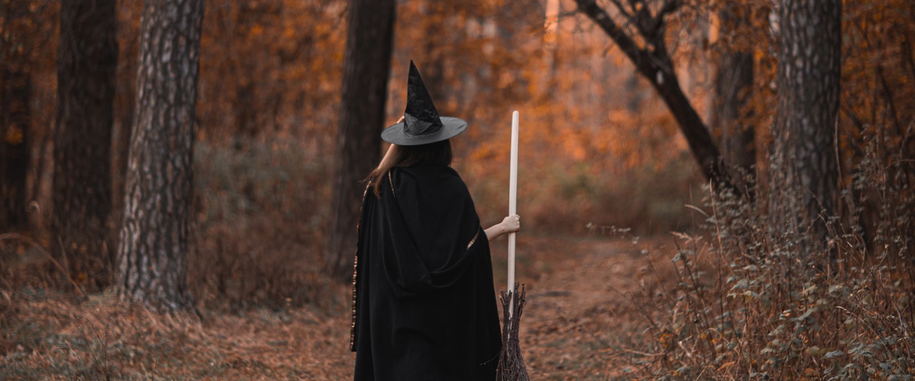 Dalby Forest – Fear In The Forest