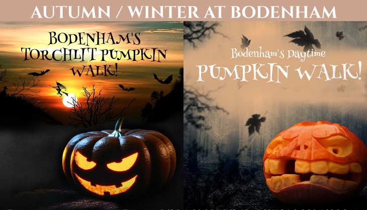 Pumpkin Walk at Bodenham Arboretum