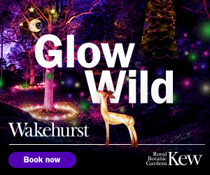 Glow Wild A Winter Lantern Trail