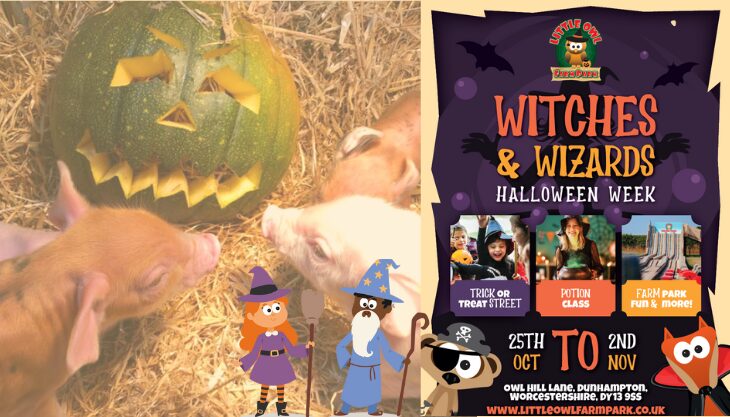 Little Owl Farm Witches & Wizards Week