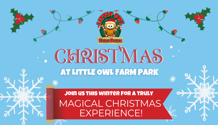 Christmas at Little Owl Farm