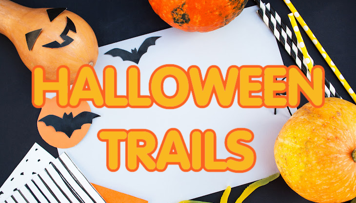 Halloween Trail at Stour Valley Nature Reserve 🕸️