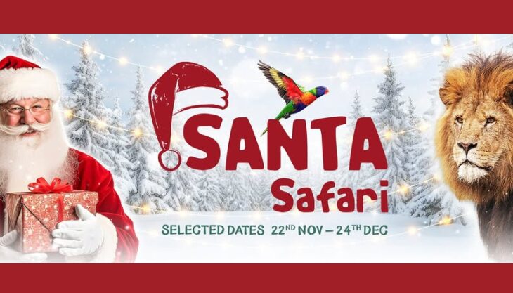 Santa Safari at West Midlands Safari Park