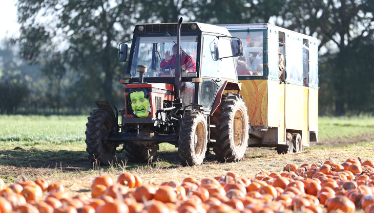 Spookley Pumpkin Festival, Apley Farm Shop