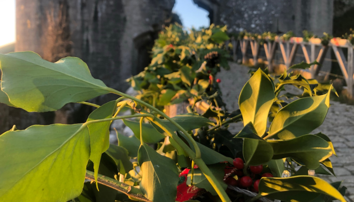 Christmas events at Corfe Castle and new Winter Trail