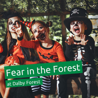 Fear in the Forest at Dalby Forest