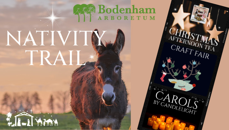 Christmas at Bodenham Arboretum