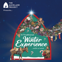 Auckland Project Winter Experience