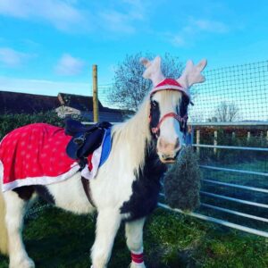 festive pony ride at Newbridge Farm Park