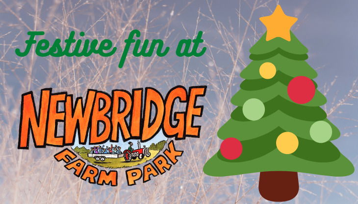 Festive Fun at Newbridge Farm Park