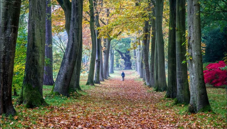 Christmas at Thorp Perrow
