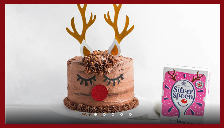 730-reindeer-cake