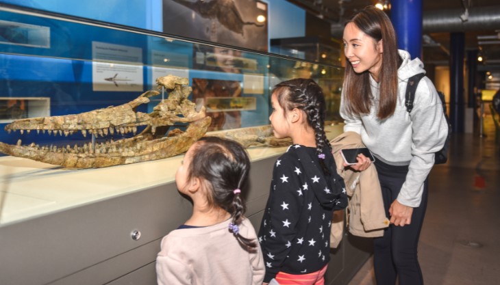 Fossil Fun Weekend at Thinktank