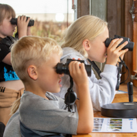 RSPB Little Birders