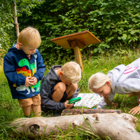 Bug hunting at RSPB Saltholme