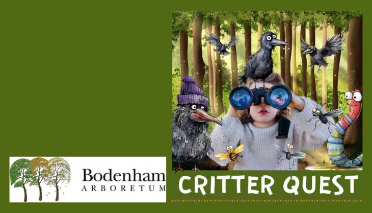 Half Term Fun at Bodenham Arboretum