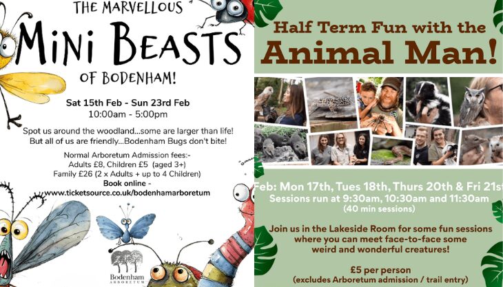 Half Term Fun at Bodenham Arboretum