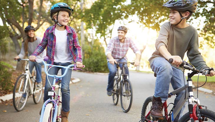 Family on sale bicycle