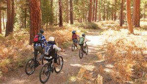 Family bike Riding in the woods