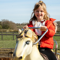 Outdoor Fun at Adventure Valley