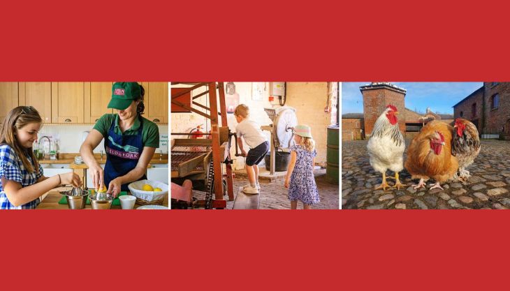 Pancake Weekend at the Farm