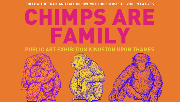 'Chimps Are Family' Trail in Kingston upon Thames | Raring2go!