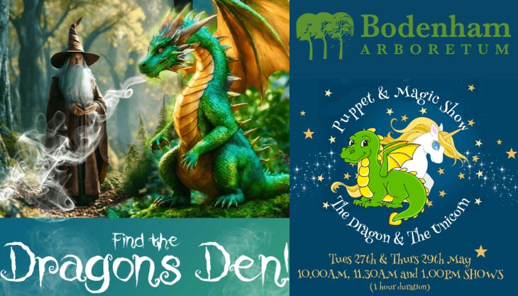 Half Term Fun at Bodenham Arboretum