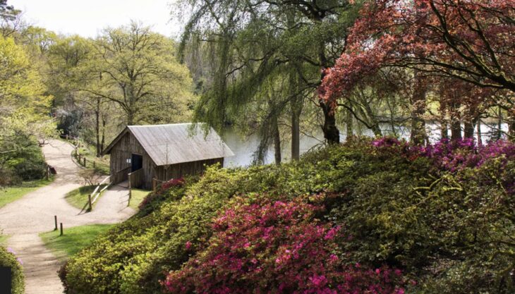 Easter Egg Hunt at Winkworth Arboretum