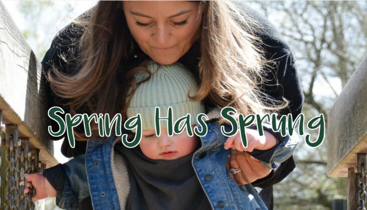 Spring has sprung! – Wellington Country Park