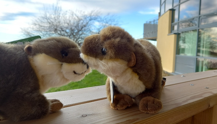 Harry Otter’s Valentine Trail at RSPB Saltholme