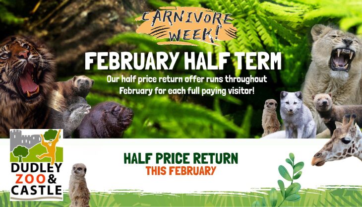 February half term at Dudley Zoo