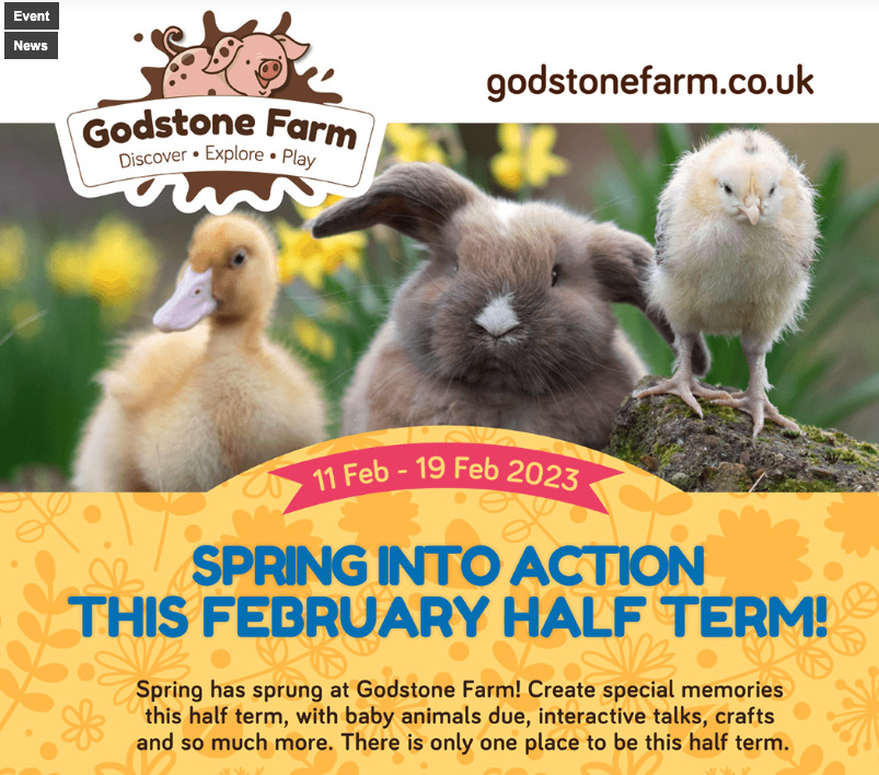 Spring Into Action at Godstone Farm