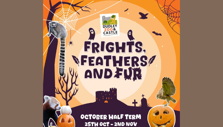 October half term at Dudley Zoo